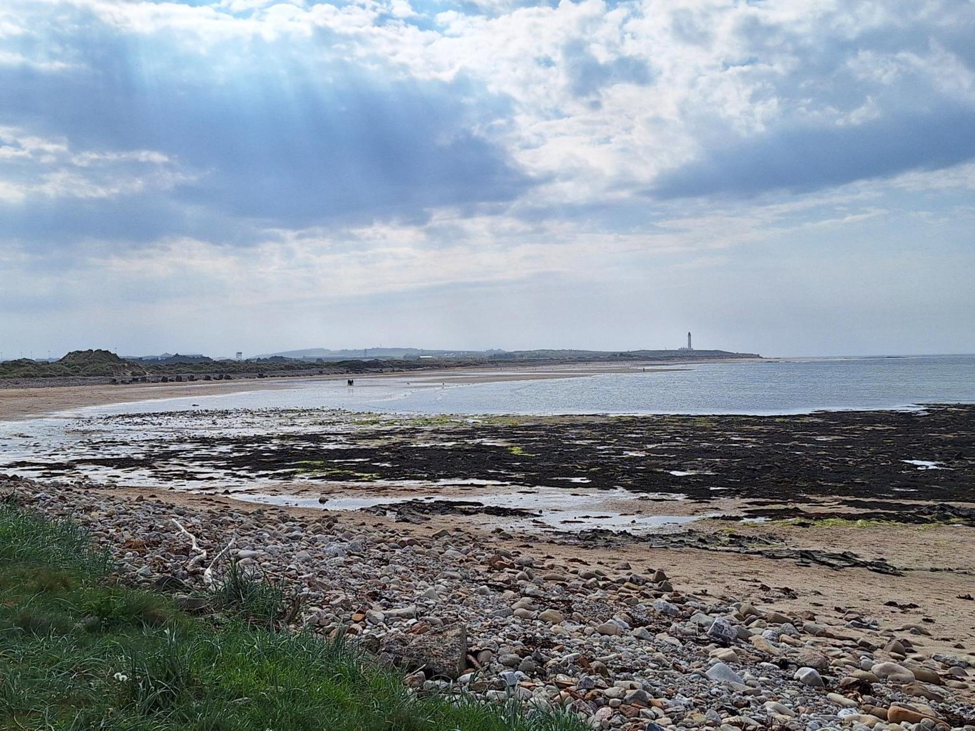 1 Fulmar Road**Next To West Beach And Golf Course Lossiemouth ภายนอก รูปภาพ